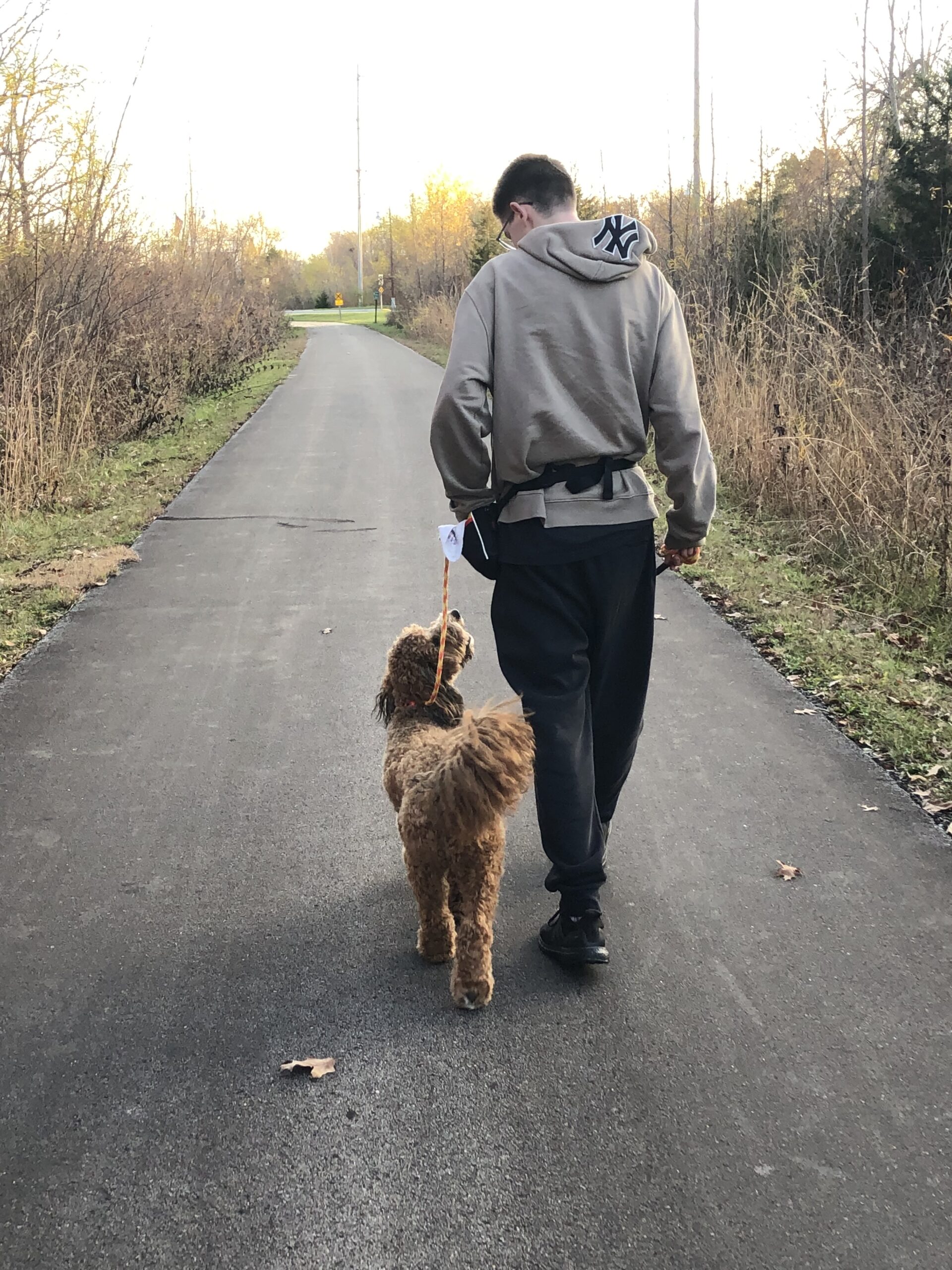 Owner Walking Dog 